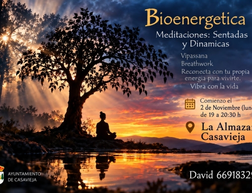 Taller Bioenergética: meditaciones sentadas y dinámicas