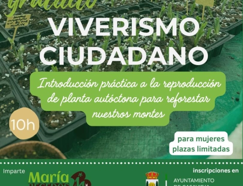 Taller gratuito de viverismo ciudadano dirigido a mujeres
